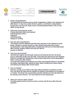 https://beta1.zulekhahospitals.com/uploads/leaflets_cover/15Campylobacter.jpg