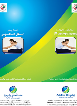 https://beta1.zulekhahospitals.com/uploads/leaflets_cover/26Low-Back.jpg