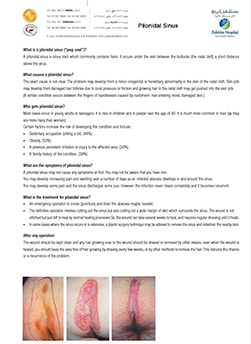 https://beta1.zulekhahospitals.com/uploads/leaflets_cover/31pilonidal-sinus.jpg